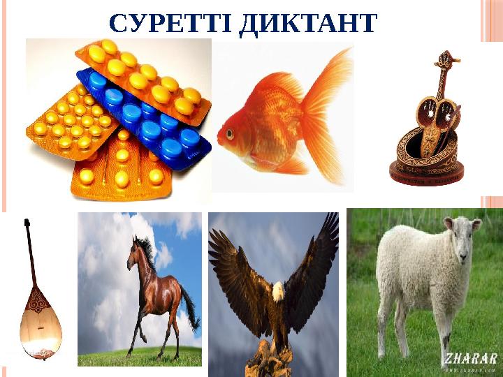 СУРЕТТІ ДИКТАНТ