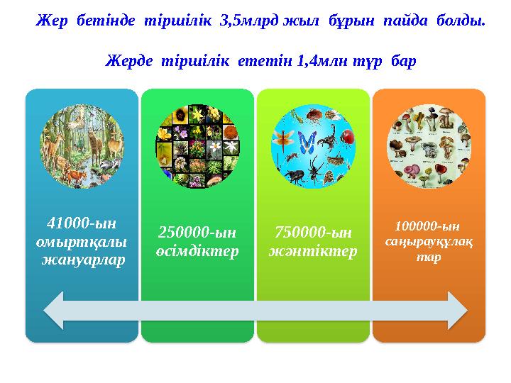 Ер мен әйел арасындағы эротикалық күрес