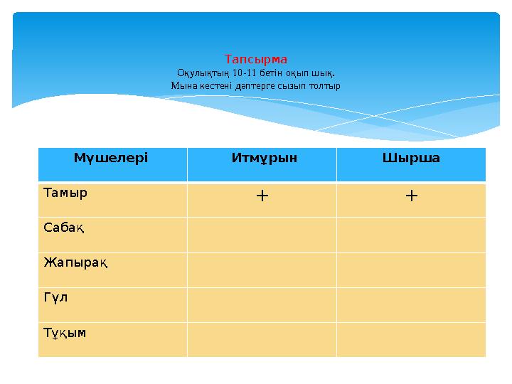 Тапсырма Оқулықтың 10-11 бетін оқып шық. Мына кестені дәптерге сызып толтыр Мүшелері Итмұрын Шырша Тамыр + + Сабақ Жапырақ Гү