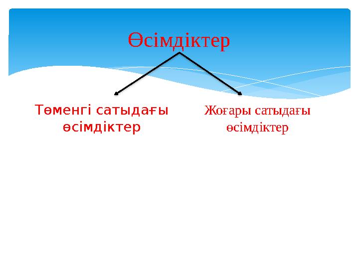 Өсімдіктер Төменгі сатыдағы өсімдіктер Жоғары сатыдағы өсімдіктер
