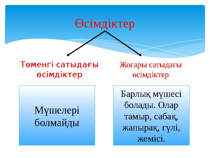 Байлап, жалап