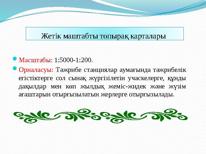 Жетік маштабты топырақ карталары  Масштабы: 1:5000-1:200.  Орналасуы: Тәжрибе станциялар аумағында тәжрибелік егістік