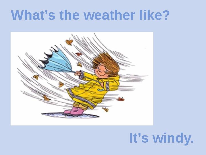 What’s the weather like? It’s windy.