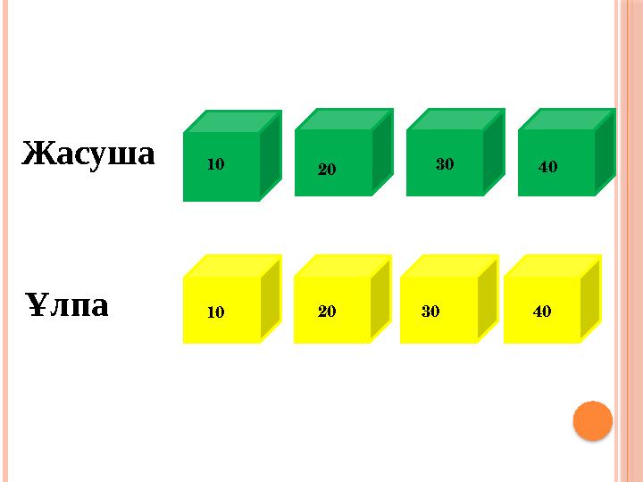 Жасуша Ұлпа 10 20 30 40 10 20 30 40