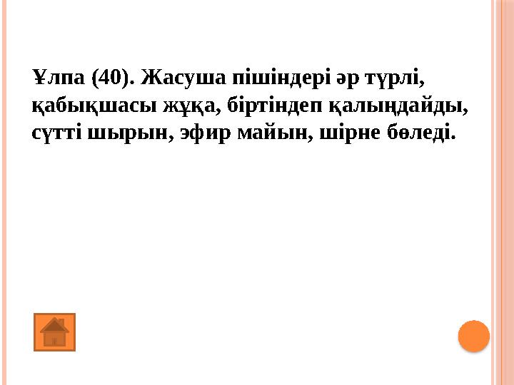 Ұлпа (40). Жасуша пішіндері әр түрлі, қабықшасы жұқа, біртіндеп қалыңдайды, сүтті шырын, эфир майын, шірне бөледі. (Бөліп шығ