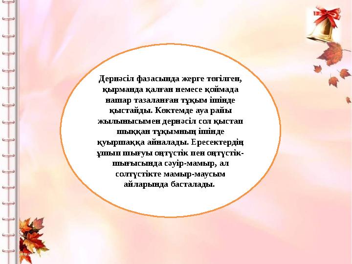 Дернәсіл фазасында жерге төгілген, қырманда қалған немесе қоймада нашар тазаланған тұқым ішінде қыстайды. Көктемде ауа райы