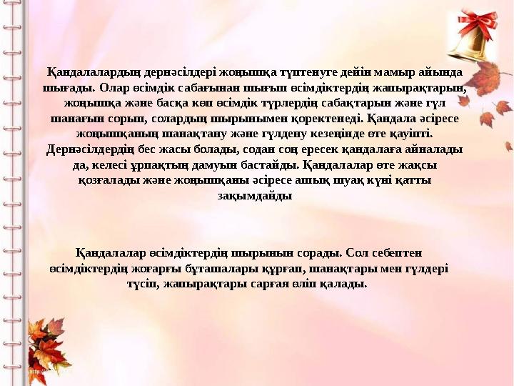 Қандалалардың дернәсілдері жоңышқа түптенуге дейін мамыр айында шығады. Олар өсімдік сабағынан шығып өсімдіктердің жапырақтарын