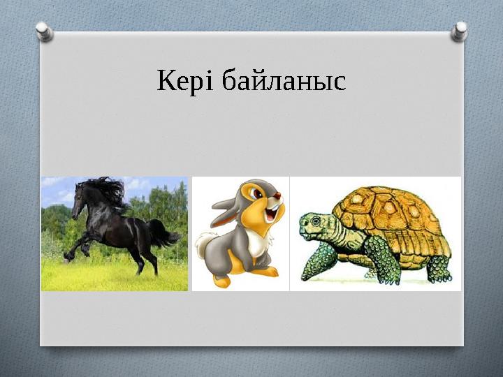 Кері байланыс