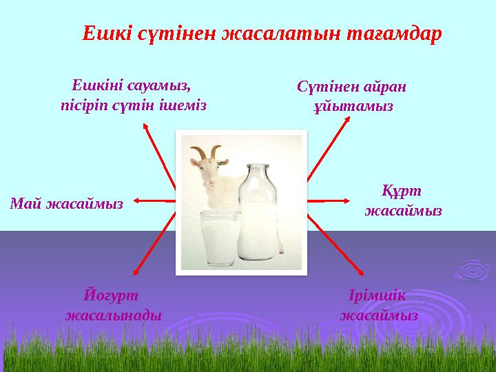 Ешкіні сауамыз, пісіріп сүтін ішеміз Сүтінен айран ұйытамыз Құрт жасаймыз Ірімшік жасаймызЙогурт жасалынадыМай жасаймыз Еш