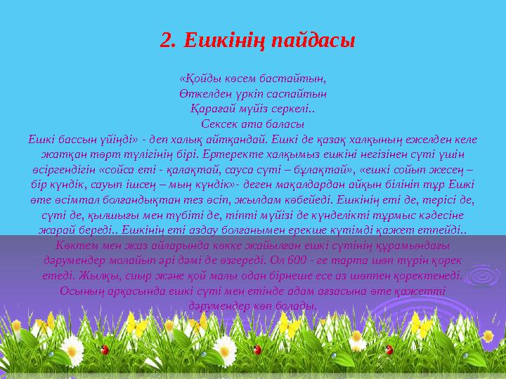 2. Ешкінің пайдасы «Қойды көсем бастайтын, Өткелден үркіп саспайтын Қарағай мүйіз серкелі.. Сексек ата баласы Ешкі бассын үйіңді