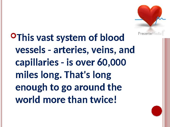  This vast system of blood vessels - arteries, veins, and capillaries - is over 60,000 miles long. That's long enough to go