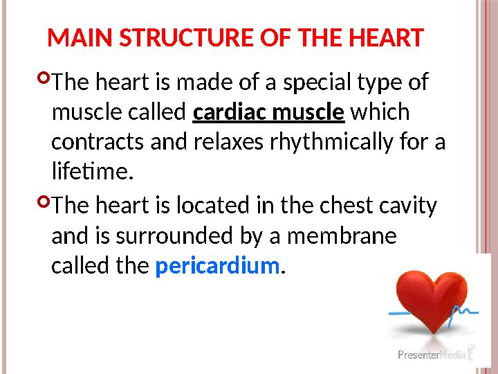 MAIN STRUCTURE OF THE HEART  The heart is made of a special type of muscle called cardiac muscle which contracts and relax