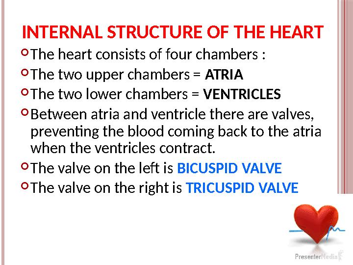 INTERNAL STRUCTURE OF THE HEART  The heart consists of four chambers :  The two upper chambers = ATRIA  The two lower chambe