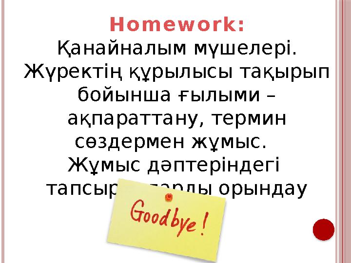 H o m e w o r k : Қанайналым мүшелері. Жүректің құрылысы тақырып бойынша ғылыми – ақпараттану, термин сөздермен жұмыс. Жұм