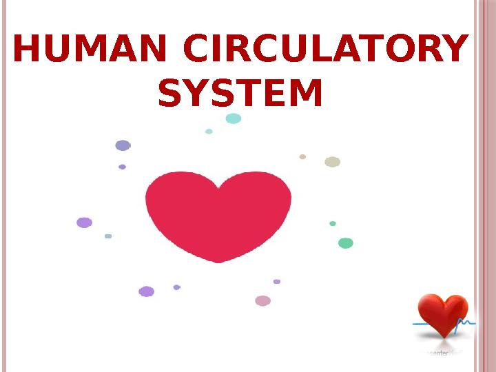 HUMAN CIRCULATORY SYSTEM