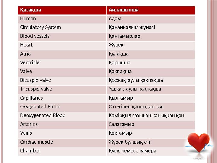 Қазақша Ағылшынша Human Адам Circulatory System Қанайналым жүйесі Blood vessels Қантамырлар Heart Жүрек Atria Құлақша Ventricle