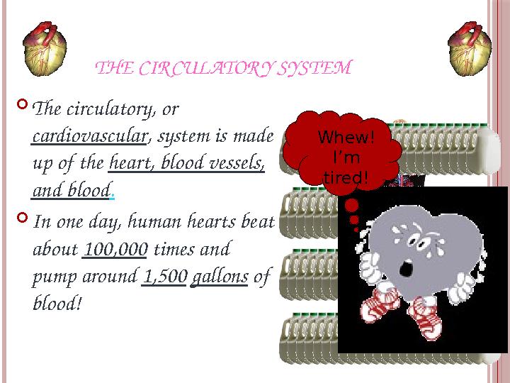 THE CIR CULATOR Y SYSTEM  The circulatory, or cardiovascular , system is made up of the heart, blood vessels, and blood . 