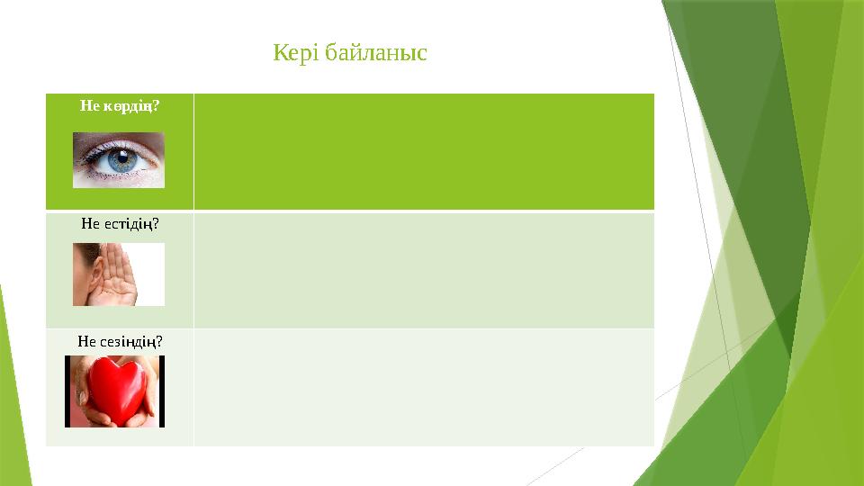 Кері байланыс Не көрдің? Не естідің? Не сезіндің?