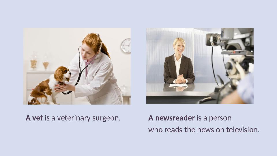 A vet is a veterinary surgeon. A newsreader is a person who reads the news on television.