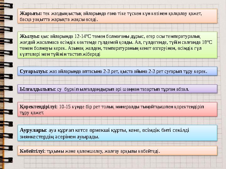 Жарығы: тек жаздың ыстық айларында ғана тіке түскен күн көзінен қалқалау қажет, басқа уақытта жарықта жақсы өседі. Жылуы: қыс