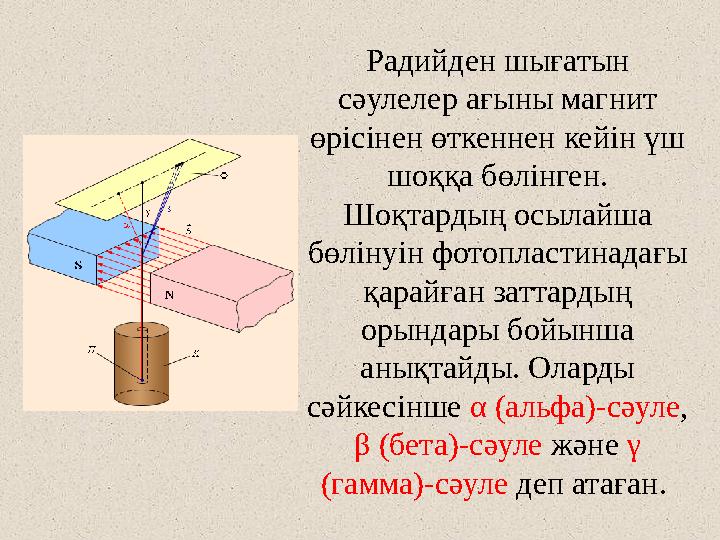 Радийден шығатын сәулелер ағыны магнит өрісінен өткеннен кейін үш шоққа бөлінген. Шоқтардың осылайша бөлінуін фотопластинад