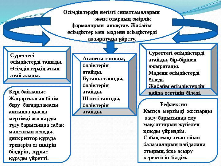 Өсімдіктердің негізгі сипаттамаларын және олардың өмірлік формаларын анықтау. Жабайы өсімдіктер мен мәден