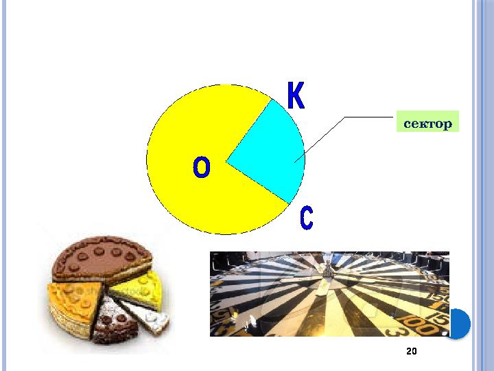 20сектор