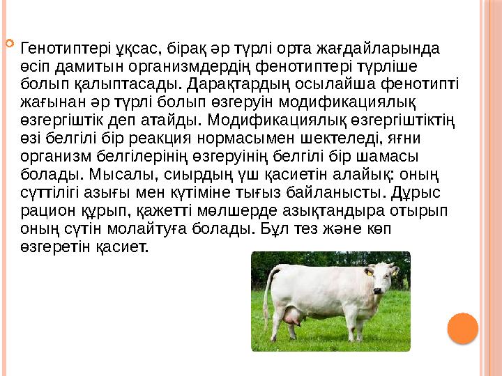  Генотиптері ұқсас, бірақ әр түрлі орта жағдайларында өсіп дамитын организмдердің фенотиптері түрліше болып қалыптасады. Дара