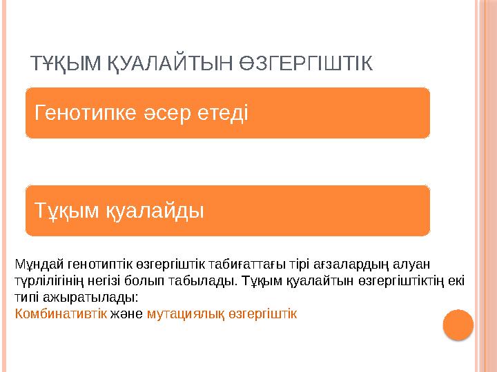ТҰҚЫМ ҚУАЛАЙТЫН ӨЗГЕРГІШТІК Генотипке әсер етеді Тұқым қуалайды Мұндай генотиптік өзгергіштік табиғаттағы тірі ағзалардың алуан