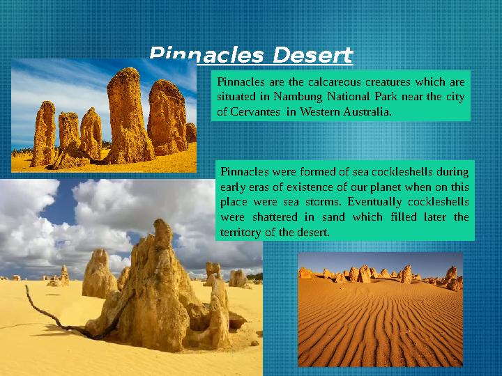 Pinnacles Desert Pinnacles are the calcareous creatures which are situated in Nambung National Park near the city