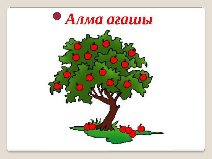  Алма ағашы