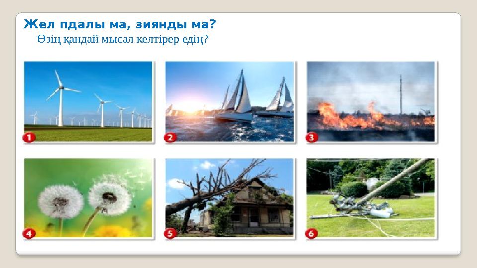 Жел пдалы ма, зиянды ма? Өзің қандай мысал келтірер едің?