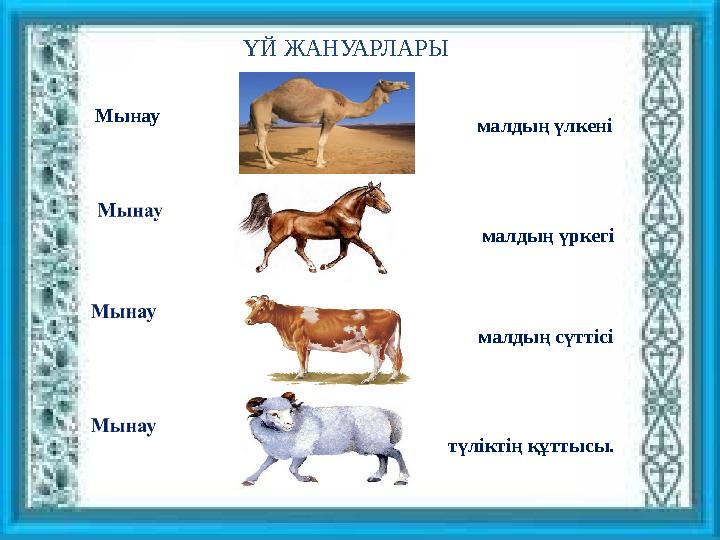 ҮЙ ЖАНУАРЛАРЫ Мынау малдың үркегі малдың сүттісі түліктің құттысы. малдың үлкені