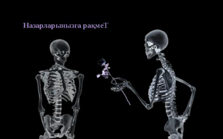 Назарларынызға рақмеТ