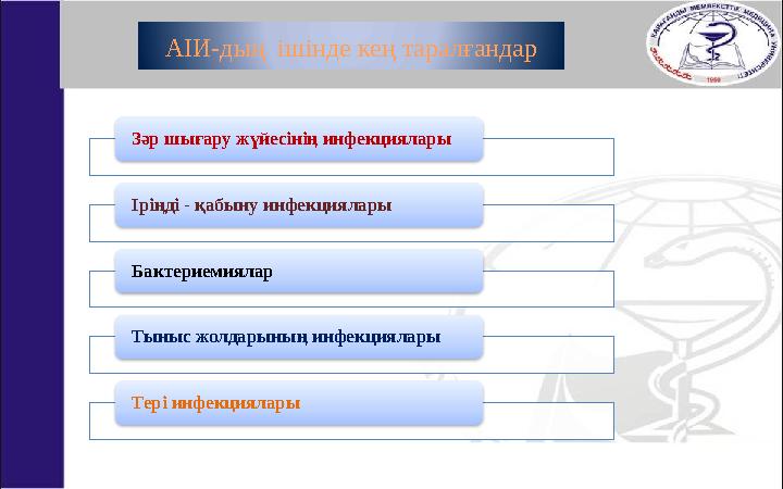 АІИ-дың ішінде кең таралғандар Зәр шығару жүйесінің инфекциялары Іріңді - қабыну инфекциялары Бактериемиялар Тыныс жолдарыны ң