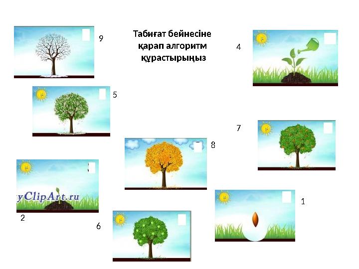 Табиғат бейнесіне қарап алгоритм құрастырыңыз 1 2 4 5 6 7 89