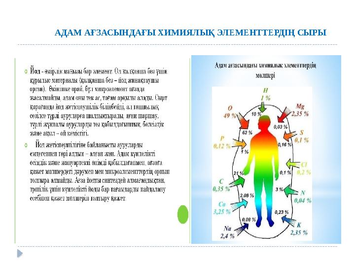 АДАМ АҒЗАСЫНДАҒЫ ХИМИЯЛЫҚ ЭЛЕМЕНТТЕРДІҢ СЫРЫ