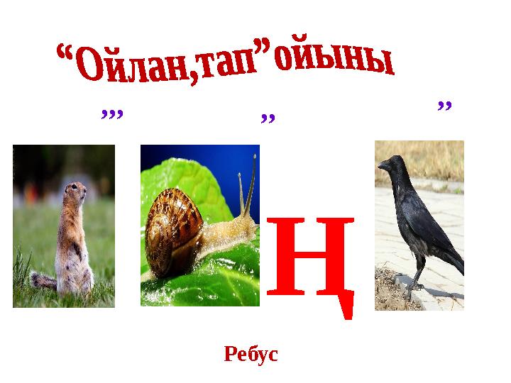 ,, ,,, Ң ,, Ребус