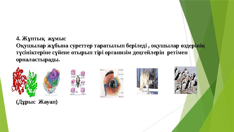 Жалаңаш семіз әйелдердің бір-бірін сиқыған суреттері