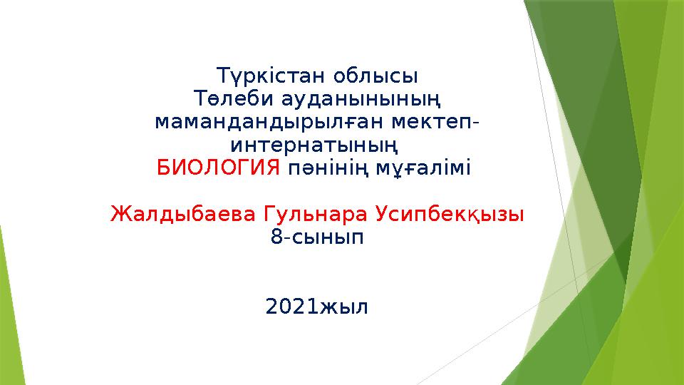 Жапон әйелдерінің етегінің астына қарап