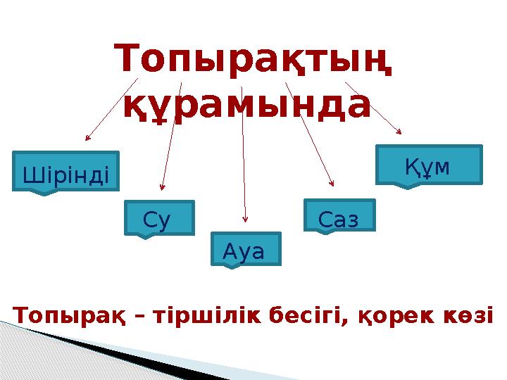 Топырақтың құрамында СуШірінді Ауа Саз Құм Топырақ – тіршілік бесігі, қорек көзі