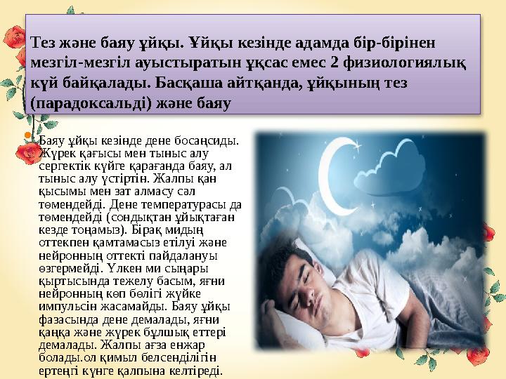 Тез және баяу ұйқы. Ұйқы кезінде адамда бір-бірінен мезгіл-мезгіл ауыстыратын ұқсас емес 2 физиологиялық күй байқалады. Басқаш