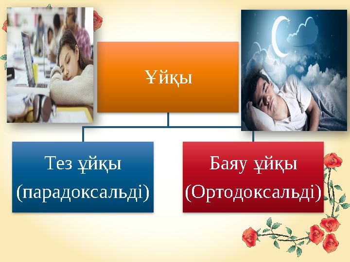 Ұйқы Тез ұйқы (парадоксальді) Баяу ұйқы (Ортодоксальді)
