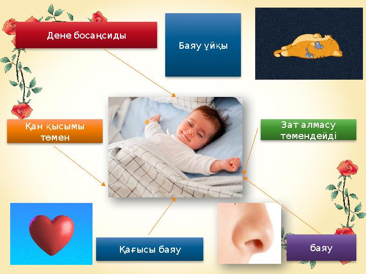 Дене босаңсиды Қағысы баяу баяуҚан қысымы төмен Зат алмасу төмендейдіБаяу ұйқы