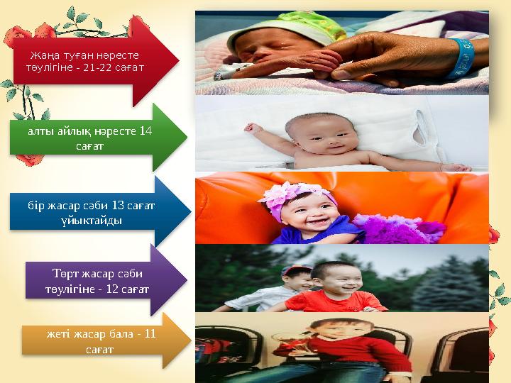 Жаңа туған нәресте тәулігіне - 21-22 сағат алты айлық нәресте 14 сағат бір жасар сәби 13 сағат үйыктайды Төрт жасар сәби төу