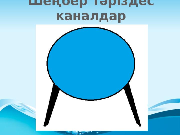 Шеңбер тәріздес каналдар