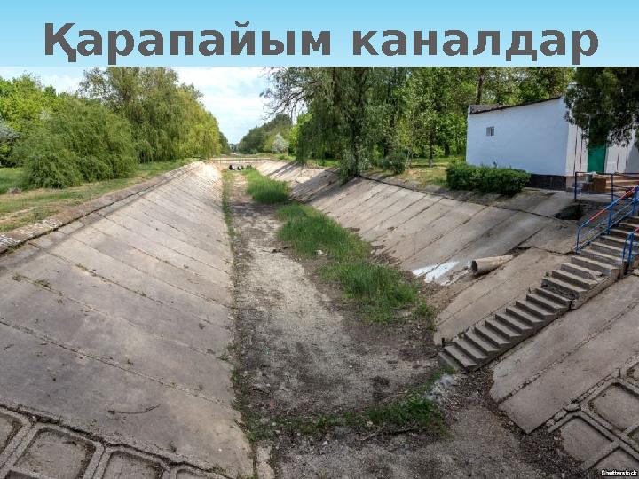 Қарапайым каналдар
