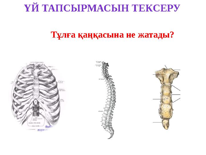 Олар телефон арқылы жыныстық қатынасқа түскенін түсіреді.