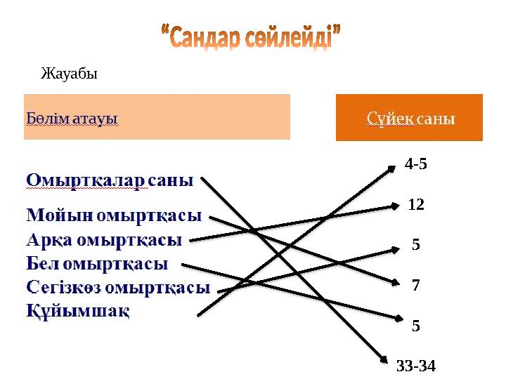 4-5 12 5 7 5 33-34Жауабы