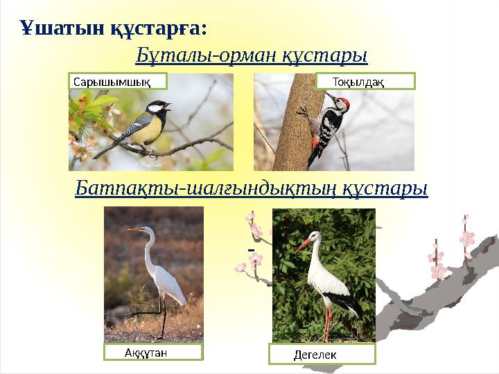 Ұшатын құстарға: Бұталы-орман құстары Батпақты-шалғындықтың құстары Сарышымшық Тоқылдақ Аққұтан Дегелек